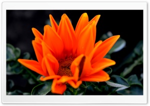 Space of Mind Ultra HD Wallpaper for 4K UHD Widescreen desktop, tablet & smartphone