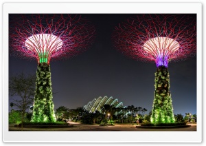 Spectacular Supertrees Singapore 4K UHD Wallpaper for Widescreen and UltraWide Desktop, UltraHD TV, Smartphone, Tablet