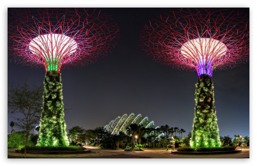 Spectacular Supertrees Singapore UltraHD Wallpaper for UHD 16:9 ; HD 16:9 ; UltraWide 21:9 24:10 32:9 32:10 ; Widescreen 16:10 5:3 ; Fullscreen 3:2 ; Tablet 1:1 ; Mobile 9:16 9:19.5 9:20 ; Dual 16:10 5:3 16:9 4:3 5:4 3:2 ;