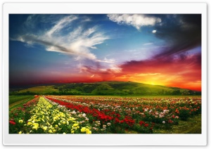 Spellbinding Sunset Ultra HD Wallpaper for 4K UHD Widescreen desktop, tablet & smartphone