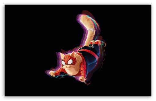 Spider-Cat, Superpet, Funny, Black Background UltraHD Wallpaper for UHD 16:9 ; HD 16:9 ; UltraWide 21:9 24:10 32:9 32:10 ; Widescreen 16:10 5:3 ; Fullscreen 4:3 5:4 3:2 ; Tablet 1:1 ; Mobile 9:16 10:16 2:3 3:5 3:4 ; Dual 16:10 5:3 16:9 4:3 5:4 3:2 ;