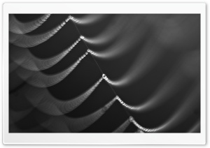 Spider Web, Close up Ultra HD Wallpaper for 4K UHD Widescreen desktop, tablet & smartphone