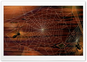 Spider Webs Hallowmas Halloween Ultra HD Wallpaper for 4K UHD Widescreen desktop, tablet & smartphone
