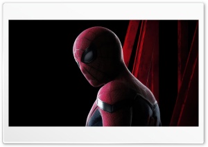 Spiderman Goes Rogue 4K UHD Wallpaper for Widescreen and UltraWide Desktop, UltraHD TV, Smartphone, Tablet