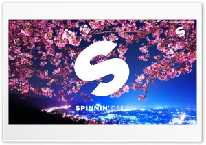 SPINNIN RECORDS Ultra HD Wallpaper for 4K UHD Widescreen desktop, tablet & smartphone