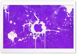 Splash Purple Ultra HD Wallpaper for 4K UHD Widescreen desktop, tablet & smartphone