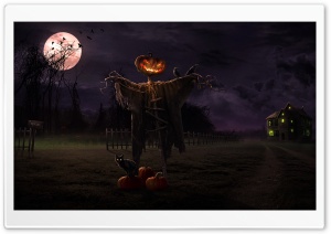 Spooky Path Ultra HD Wallpaper for 4K UHD Widescreen desktop, tablet & smartphone