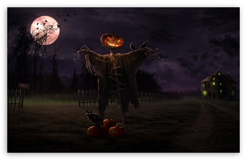 Spooky Path Ultra HD Desktop Background Wallpaper for 4K UHD TV ...
