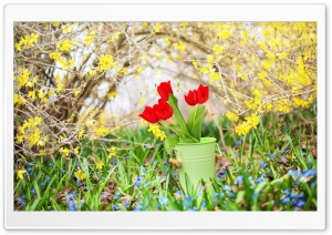 Spring Background Ultra HD Wallpaper for 4K UHD Widescreen desktop, tablet & smartphone