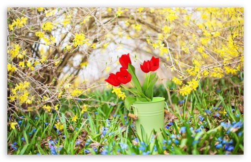 Spring Background UltraHD Wallpaper for Wide 16:10 5:3 Widescreen WHXGA WQXGA WUXGA WXGA WGA ; UltraWide 21:9 24:10 ; 8K UHD TV 16:9 Ultra High Definition 2160p 1440p 1080p 900p 720p ; UHD 16:9 2160p 1440p 1080p 900p 720p ; Standard 4:3 5:4 3:2 Fullscreen UXGA XGA SVGA QSXGA SXGA DVGA HVGA HQVGA ( Apple PowerBook G4 iPhone 4 3G 3GS iPod Touch ) ; Smartphone 16:9 3:2 5:3 2160p 1440p 1080p 900p 720p DVGA HVGA HQVGA ( Apple PowerBook G4 iPhone 4 3G 3GS iPod Touch ) WGA ; Tablet 1:1 ; iPad 1/2/Mini ; Mobile 4:3 5:3 3:2 16:9 5:4 - UXGA XGA SVGA WGA DVGA HVGA HQVGA ( Apple PowerBook G4 iPhone 4 3G 3GS iPod Touch ) 2160p 1440p 1080p 900p 720p QSXGA SXGA ; Dual 16:10 5:3 16:9 4:3 5:4 3:2 WHXGA WQXGA WUXGA WXGA WGA 2160p 1440p 1080p 900p 720p UXGA XGA SVGA QSXGA SXGA DVGA HVGA HQVGA ( Apple PowerBook G4 iPhone 4 3G 3GS iPod Touch ) ; Triple 16:10 5:3 16:9 4:3 5:4 3:2 WHXGA WQXGA WUXGA WXGA WGA 2160p 1440p 1080p 900p 720p UXGA XGA SVGA QSXGA SXGA DVGA HVGA HQVGA ( Apple PowerBook G4 iPhone 4 3G 3GS iPod Touch ) ;