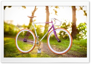 Spring Bike Ride Ultra HD Wallpaper for 4K UHD Widescreen desktop, tablet & smartphone