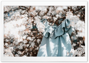 Spring, Blossoms, Flowers, Dress Ultra HD Wallpaper for 4K UHD Widescreen desktop, tablet & smartphone
