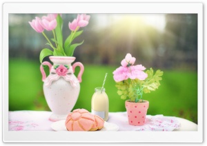 Spring Breakfast Outdoor Ultra HD Wallpaper for 4K UHD Widescreen desktop, tablet & smartphone