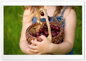 Spring Cherries Ultra HD Wallpaper for 4K UHD Widescreen desktop, tablet & smartphone
