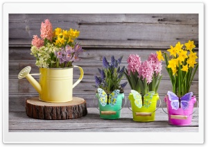Spring Flowers Collection Ultra HD Wallpaper for 4K UHD Widescreen desktop, tablet & smartphone