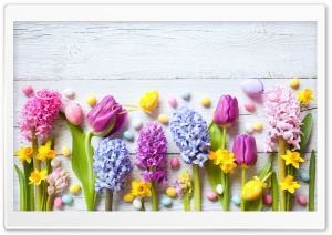 Spring Flowers Easter 2022 Ultra HD Wallpaper for 4K UHD Widescreen desktop, tablet & smartphone