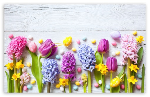 spring flowers wallpaper widescreen