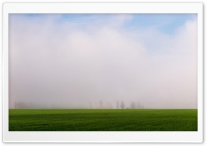 Spring Fog in the Morning Ultra HD Wallpaper for 4K UHD Widescreen desktop, tablet & smartphone
