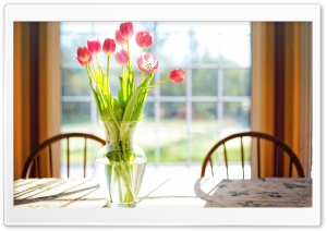 Spring Fresh Cut Tulips Flowers in Vase Ultra HD Wallpaper for 4K UHD Widescreen desktop, tablet & smartphone
