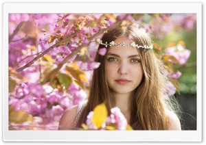 Spring Garden Ultra HD Wallpaper for 4K UHD Widescreen desktop, tablet & smartphone