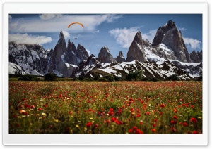 Spring in Winter Ultra HD Wallpaper for 4K UHD Widescreen desktop, tablet & smartphone