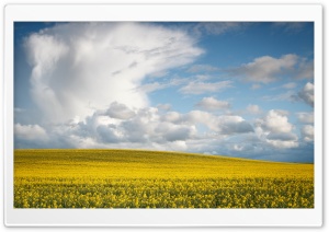 Spring Landscape Ultra HD Wallpaper for 4K UHD Widescreen desktop, tablet & smartphone