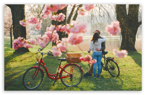 Spring, Love, Hug, Couple, Romantic, Park, Vintage Bicycles UltraHD Wallpaper for UHD 16:9 ; HD 16:9 ; UltraWide 21:9 24:10 ; Widescreen 16:10 5:3 ; Fullscreen 4:3 5:4 3:2 ; Tablet 1:1 ;