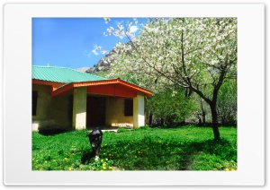 Spring of Dibiza 4K UHD Wallpaper for Widescreen and UltraWide Desktop, UltraHD TV, Smartphone, Tablet