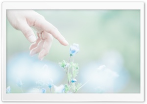 Spring Touch Ultra HD Wallpaper for 4K UHD Widescreen desktop, tablet & smartphone