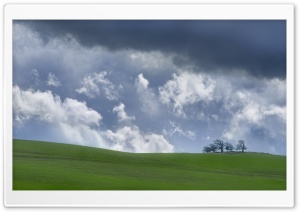 Spring Wheat Field on a Stormy Day in Oregon 4K UHD Wallpaper for Widescreen and UltraWide Desktop, UltraHD TV, Smartphone, Tablet