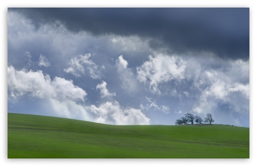 Spring Wheat Field on a Stormy Day in Oregon UltraHD Wallpaper for UHD 16:9 ; HD 16:9 ; UltraWide 21:9 24:10 32:9 32:10 ; Widescreen 16:10 ; Tablet 1:1 ; Mobile 9:16 9:19.5 9:20 9:21 9:22 ; Dual 16:10 16:9 ;
