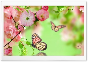 Springtime Joy Ultra HD Wallpaper for 4K UHD Widescreen desktop, tablet & smartphone