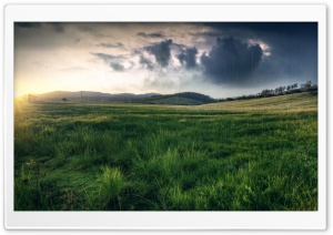SpringTime Rain Ultra HD Wallpaper for 4K UHD Widescreen desktop, tablet & smartphone
