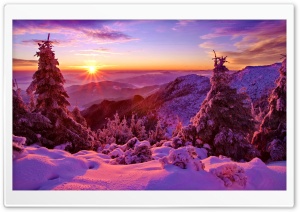 Spruces On Mountain Sunset Ultra HD Wallpaper for 4K UHD Widescreen desktop, tablet & smartphone