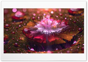 Star 4K UHD Wallpaper for Widescreen and UltraWide Desktop, UltraHD TV, Smartphone, Tablet