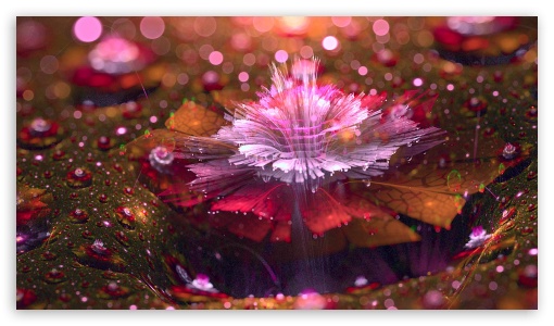 Star UltraHD Wallpaper for HD 16:9 ;