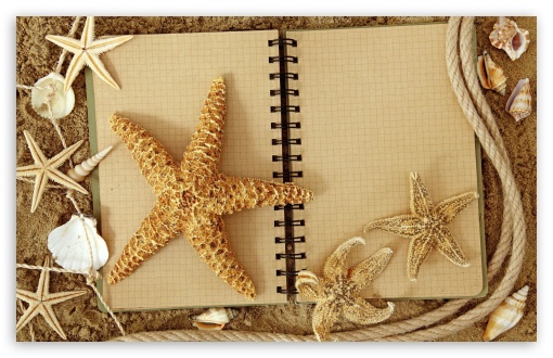 Starfish UltraHD Wallpaper for HD 16:9 ; Widescreen 16:10 5:3 ; Fullscreen 4:3 3:2 ;