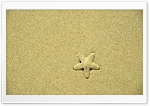 Starfish Ultra HD Wallpaper for 4K UHD Widescreen desktop, tablet & smartphone