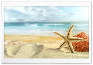 Starfish On The Beach Ultra HD Wallpaper for 4K UHD Widescreen desktop, tablet & smartphone