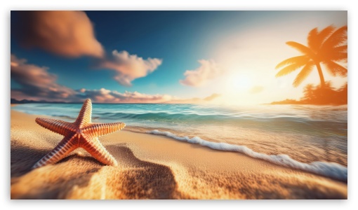 Starfish, Sandy Beach, Sea UltraHD Wallpaper for UHD 16:9 2160p 1440p 1080p 900p 720p ; 8K UHD TV 16:9 Ultra High Definition 2160p 1440p 1080p 900p 720p ; UltraWide 21:9 24:10 ; Fullscreen 4:3 5:4 UXGA XGA SVGA QSXGA SXGA ; Tablet 1:1 ; Mobile 9:16 2:3 3:5 3:4 - ;