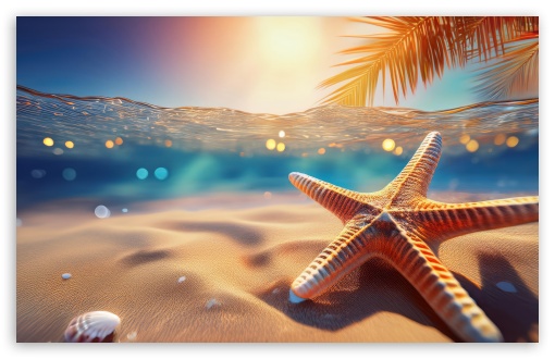 Starfish Underwater UltraHD Wallpaper for UHD 16:9 2160p 1440p 1080p 900p 720p ; 8K UHD TV 16:9 Ultra High Definition 2160p 1440p 1080p 900p 720p ; UltraWide 21:9 24:10 ; Widescreen 16:10 5:3 WHXGA WQXGA WUXGA WXGA WGA ; Fullscreen 5:4 3:2 QSXGA SXGA DVGA HVGA HQVGA ( Apple PowerBook G4 iPhone 4 3G 3GS iPod Touch ) ; Tablet 1:1 ;