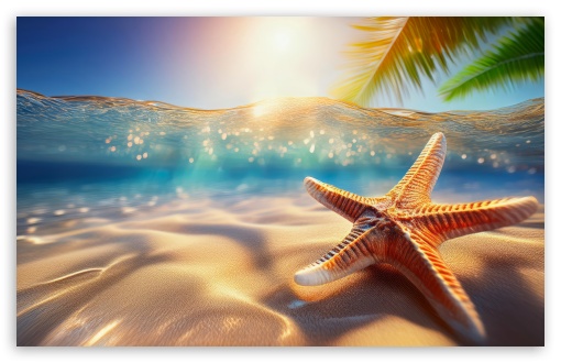 Starfish Underwater Blue Ocean UltraHD Wallpaper for UHD 16:9 2160p 1440p 1080p 900p 720p ; 8K UHD TV 16:9 Ultra High Definition 2160p 1440p 1080p 900p 720p ; UltraWide 21:9 24:10 ; Widescreen 16:10 5:3 WHXGA WQXGA WUXGA WXGA WGA ; Fullscreen 4:3 5:4 3:2 UXGA XGA SVGA QSXGA SXGA DVGA HVGA HQVGA ( Apple PowerBook G4 iPhone 4 3G 3GS iPod Touch ) ; Tablet 1:1 ;