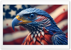 Stars and Stripes Bald Eagle 4th of July USA Ultra HD Wallpaper for 4K UHD Widescreen desktop, tablet & smartphone