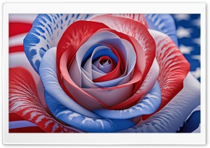 Stars and Stripes Rose Ultra HD Wallpaper for 4K UHD Widescreen desktop, tablet & smartphone
