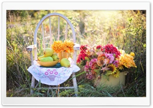 Still Life Pears Fruits Bowl, Wooden Chair, Flowers Ultra HD Wallpaper for 4K UHD Widescreen desktop, tablet & smartphone