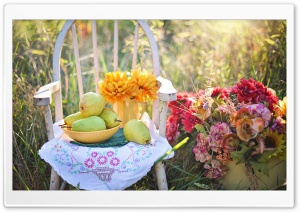 Still Life Rustic Scene with Flowers, Pears Fruits, Outdoor Ultra HD Wallpaper for 4K UHD Widescreen desktop, tablet & smartphone