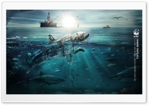 Stop Global Warming, Save the Polar Bears Ultra HD Wallpaper for 4K UHD Widescreen desktop, tablet & smartphone
