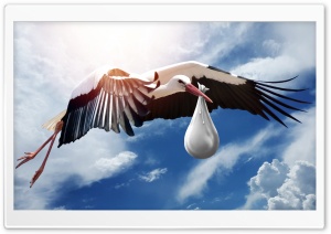 Stork Carrying Baby Ultra HD Wallpaper for 4K UHD Widescreen desktop, tablet & smartphone