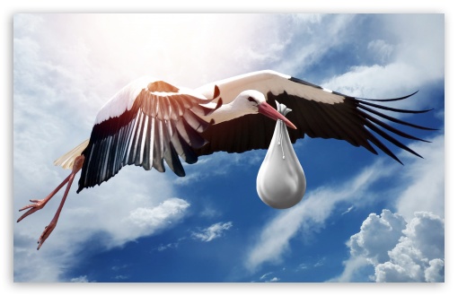 Stork Carrying Baby UltraHD Wallpaper for Wide 16:10 5:3 Widescreen WHXGA WQXGA WUXGA WXGA WGA ; UltraWide 21:9 24:10 ; 8K UHD TV 16:9 Ultra High Definition 2160p 1440p 1080p 900p 720p ; UHD 16:9 2160p 1440p 1080p 900p 720p ; Mobile 5:3 16:9 - WGA 2160p 1440p 1080p 900p 720p ; Dual 4:3 5:4 3:2 UXGA XGA SVGA QSXGA SXGA DVGA HVGA HQVGA ( Apple PowerBook G4 iPhone 4 3G 3GS iPod Touch ) ;