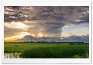 Storm Clouds Gathering Ultra HD Wallpaper for 4K UHD Widescreen desktop, tablet & smartphone